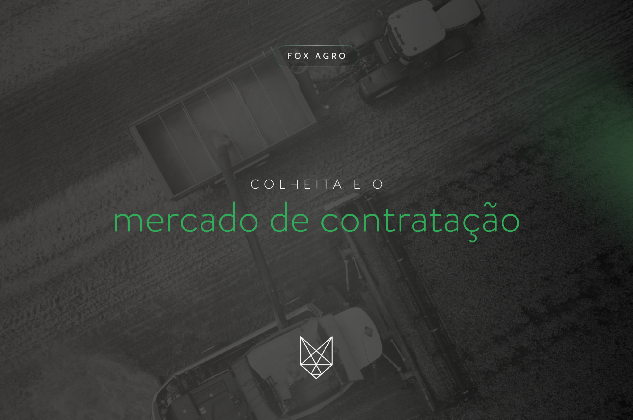 Colheita e o mercado de contratação Site
