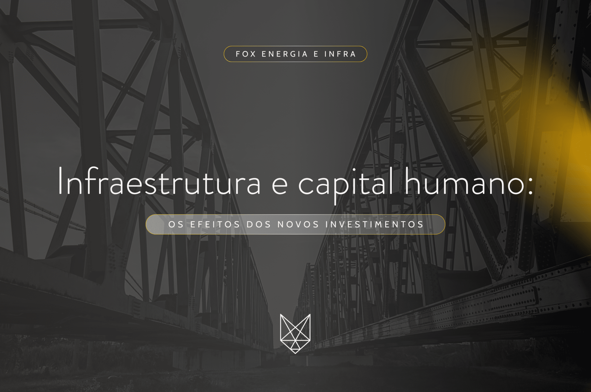 Infraestrutura e capital humano os efeitos dos novos investimentos SITE