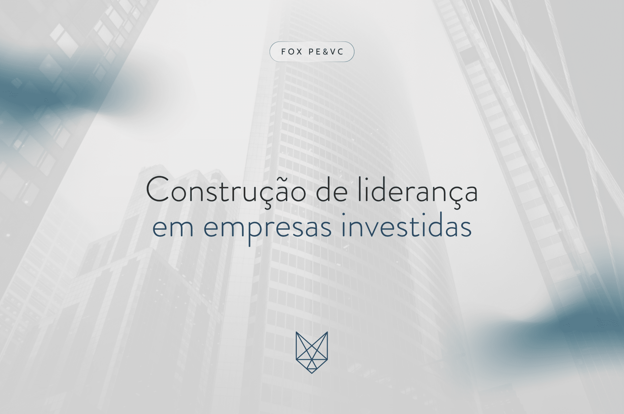 Construção de liderança em empresas investidas Site (1)