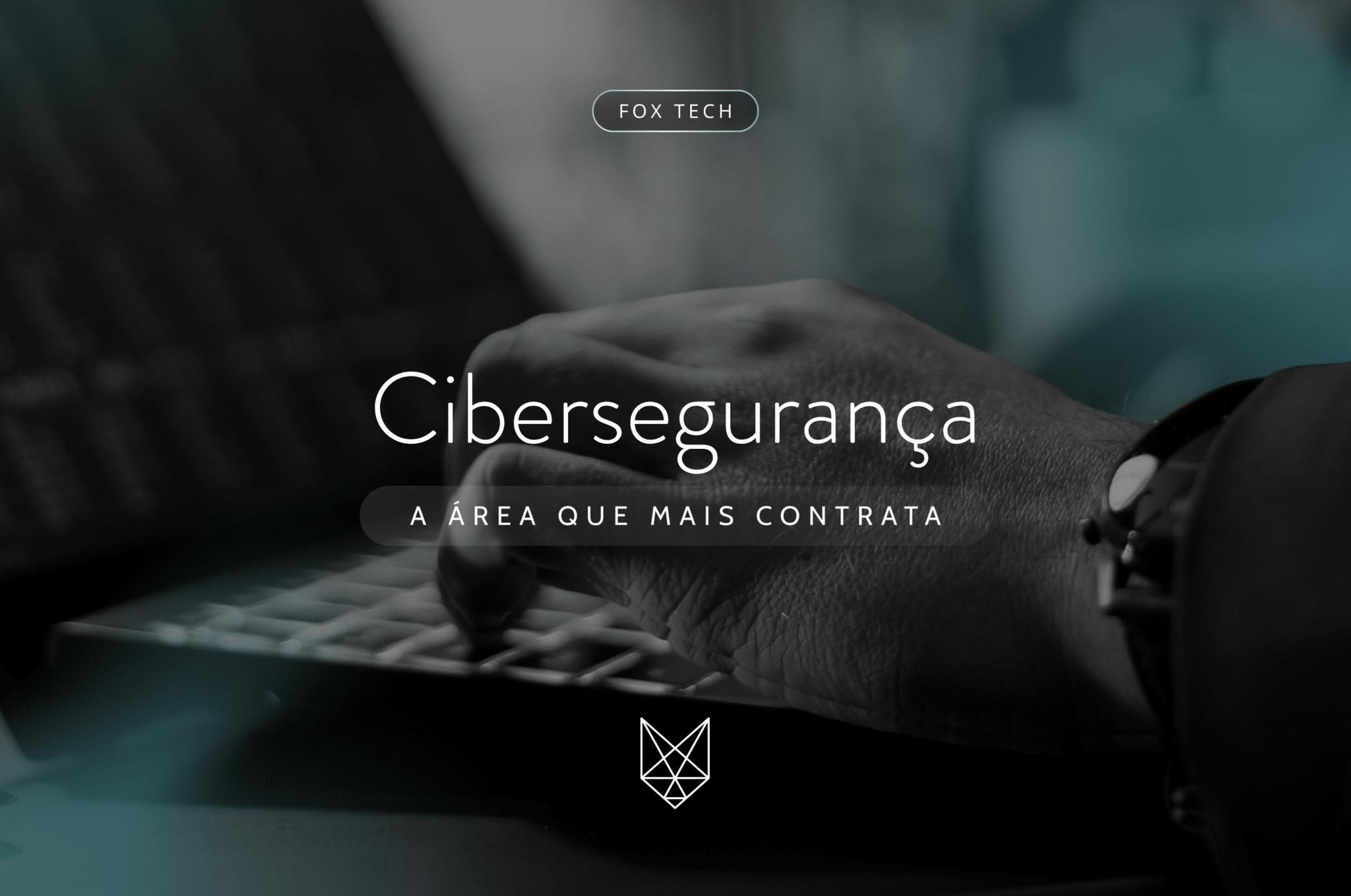 Cibersegurança a área que mais contrata Site (1)